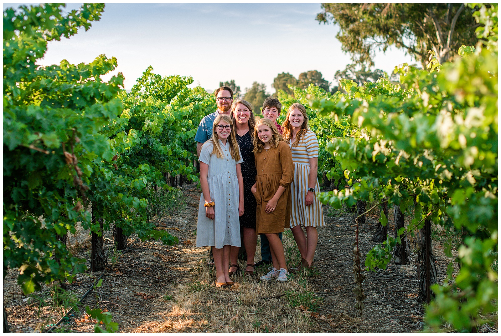 Family photoshoot at golden hour in vineyards in Livermore, CA