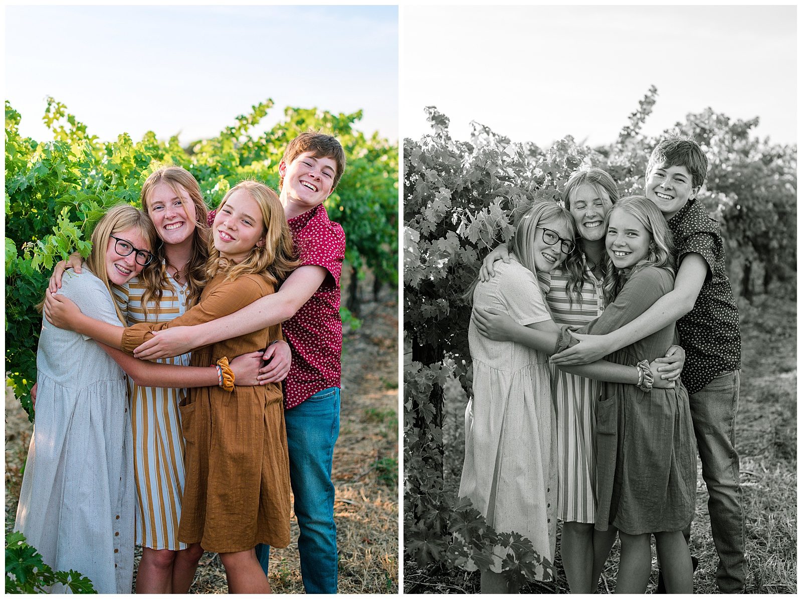 Vineyard family photos of four teenage siblings hugging