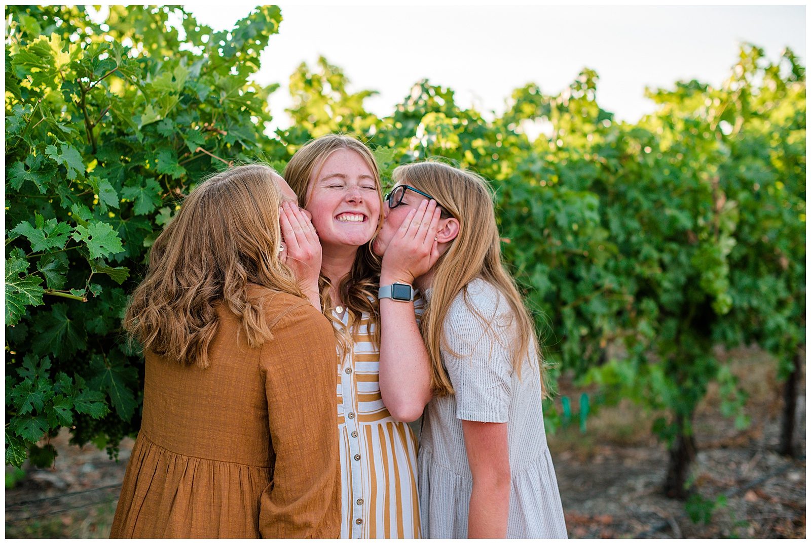 Vineyard family photos of three teenage sisters