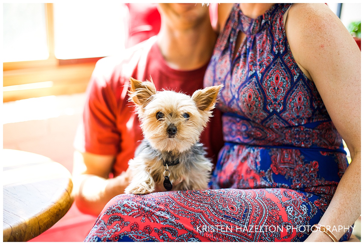 Tiny puppy on a woman's lap during an engagement session