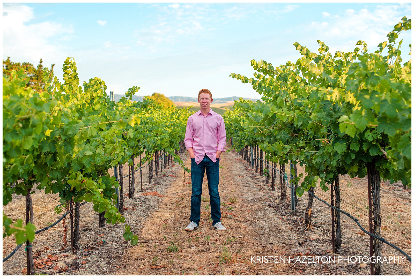Male high school senior portraits in between rows of grape vines