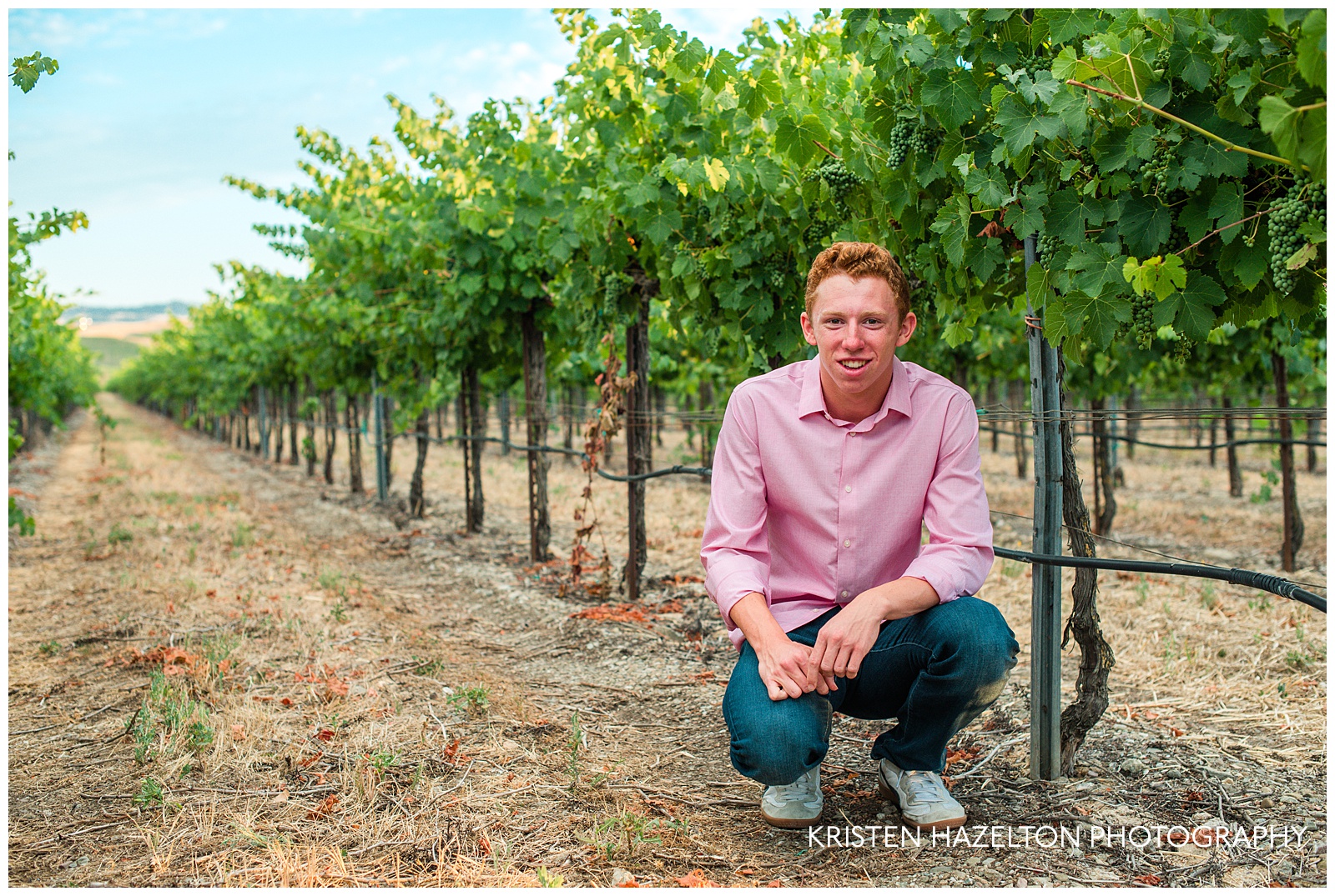 Male high school senior portraits in between rows of grape vines