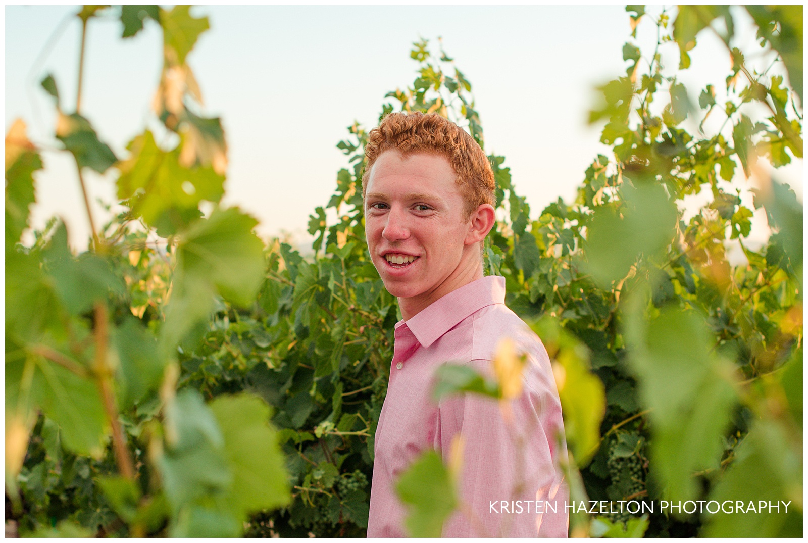 Senior portrait of a male looking at the camera, framed with grape vines