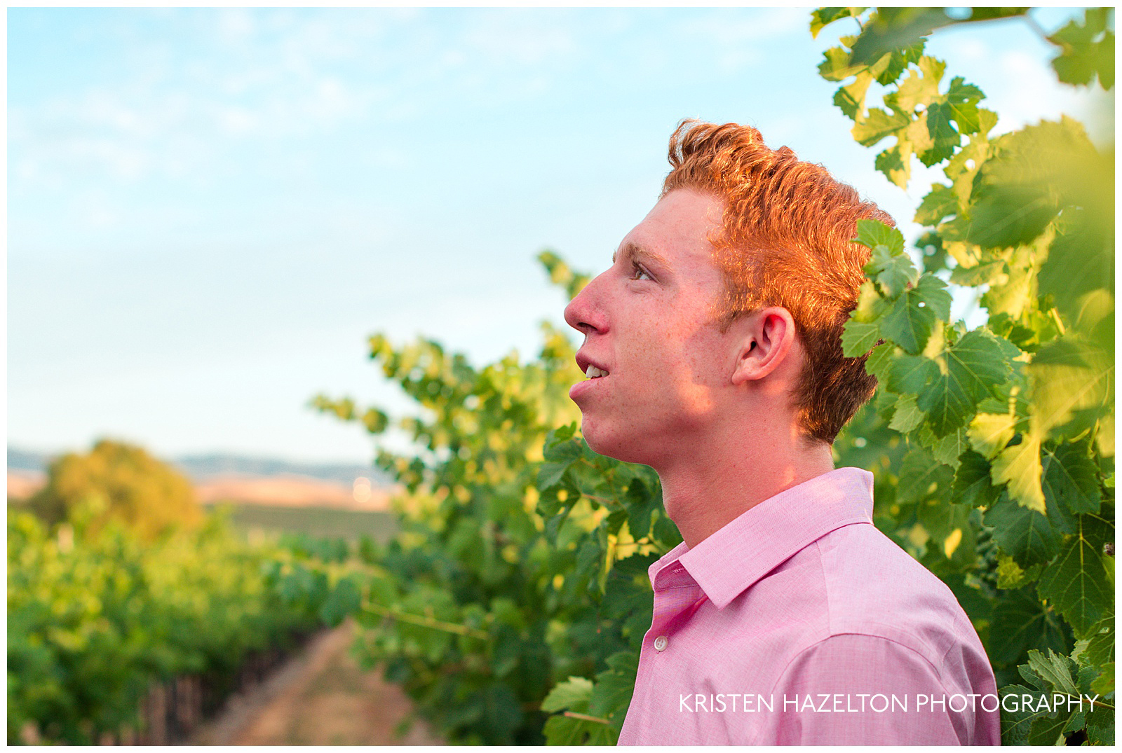 Senior portrait of a boy looking up at the sky in a vineyard
