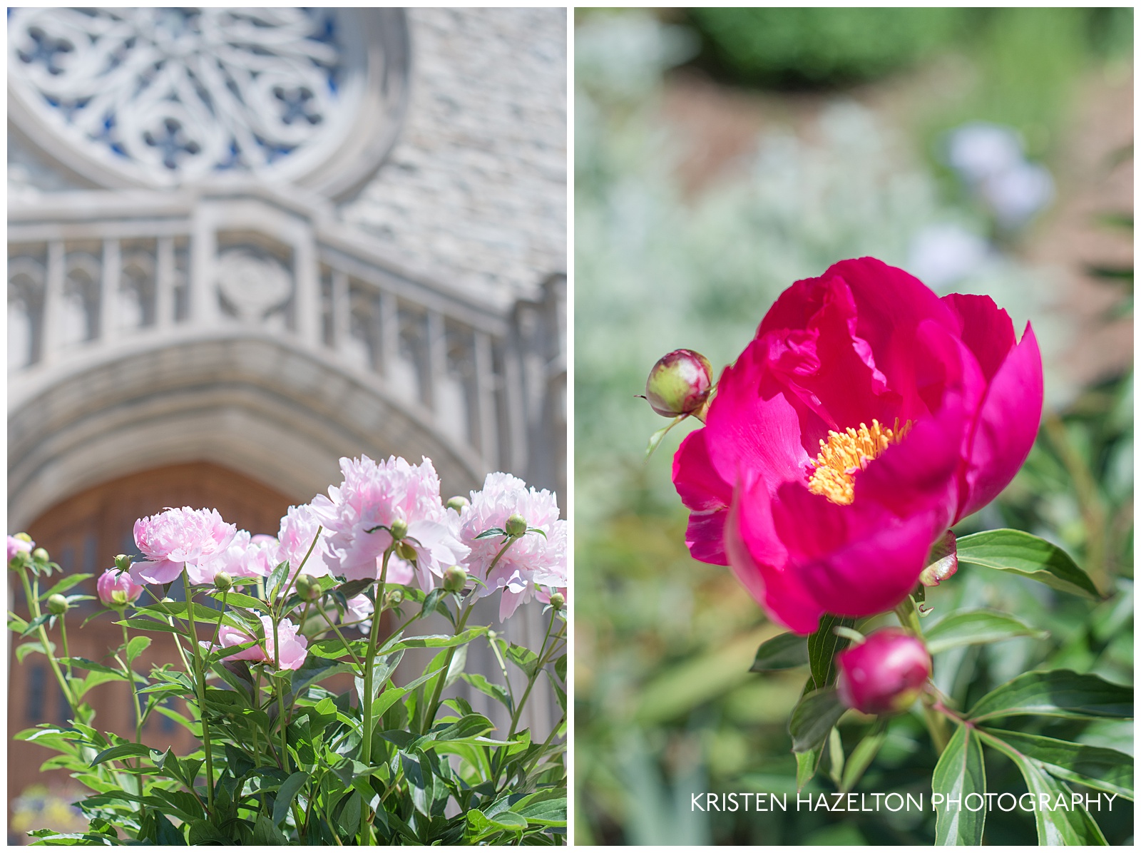 Pink peonies in front of the First United Church of Oak Park
