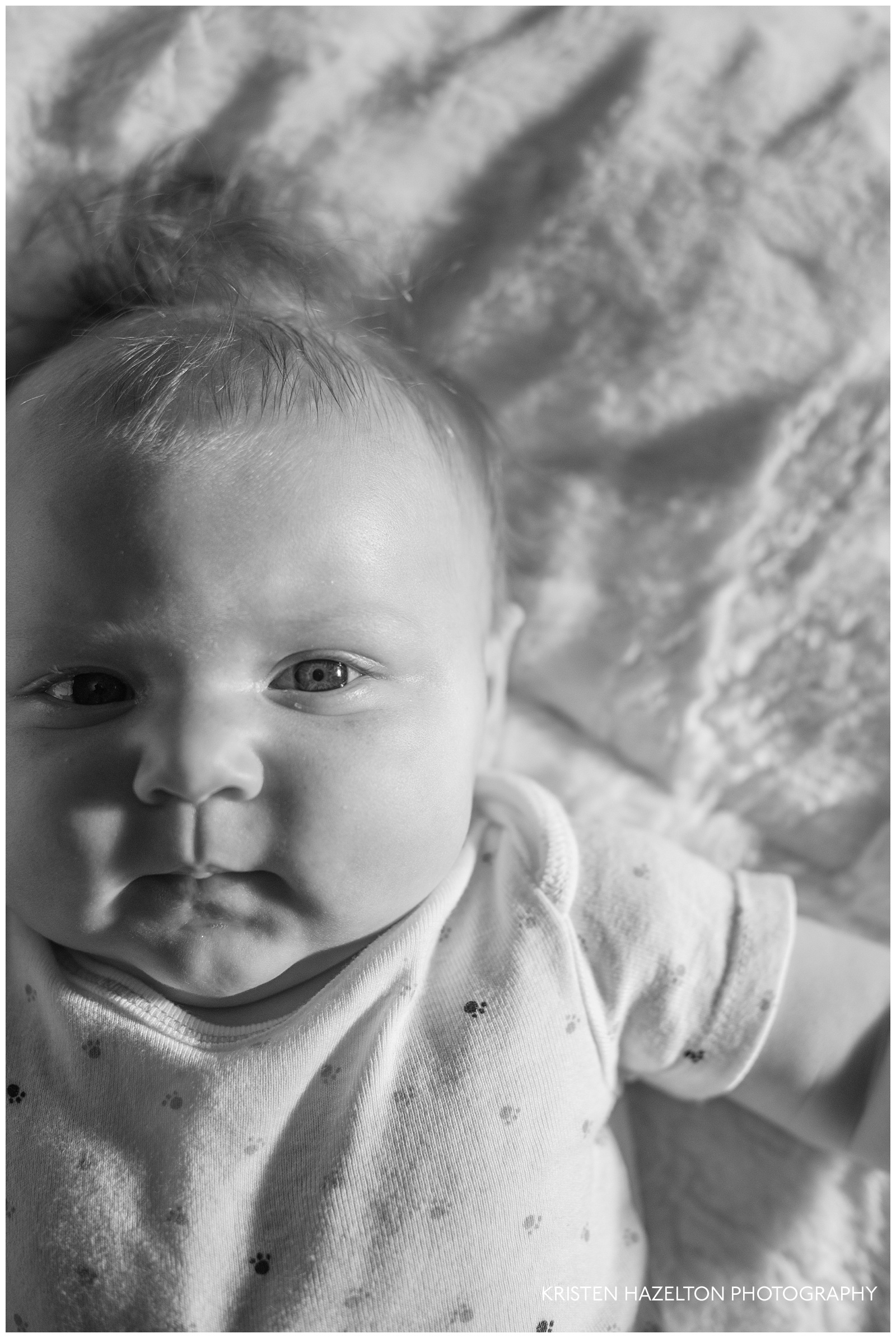Split-lighting black and white portrait of a two-month old baby