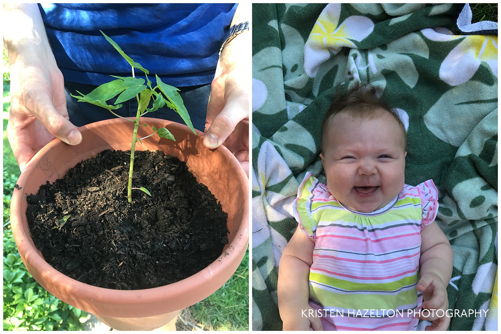A baby papaya tree and one happy baby with a wide-mouthed smiled