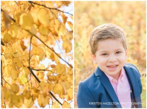 Closeup portrait of a three year old boy