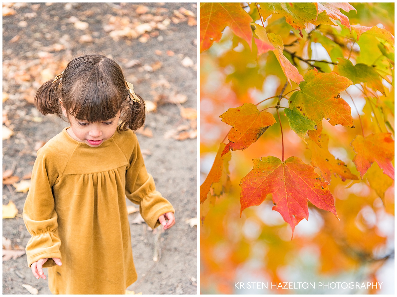 Fall portrait of a two year old girl