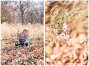 Family portraits of Two sister throwing leaves together