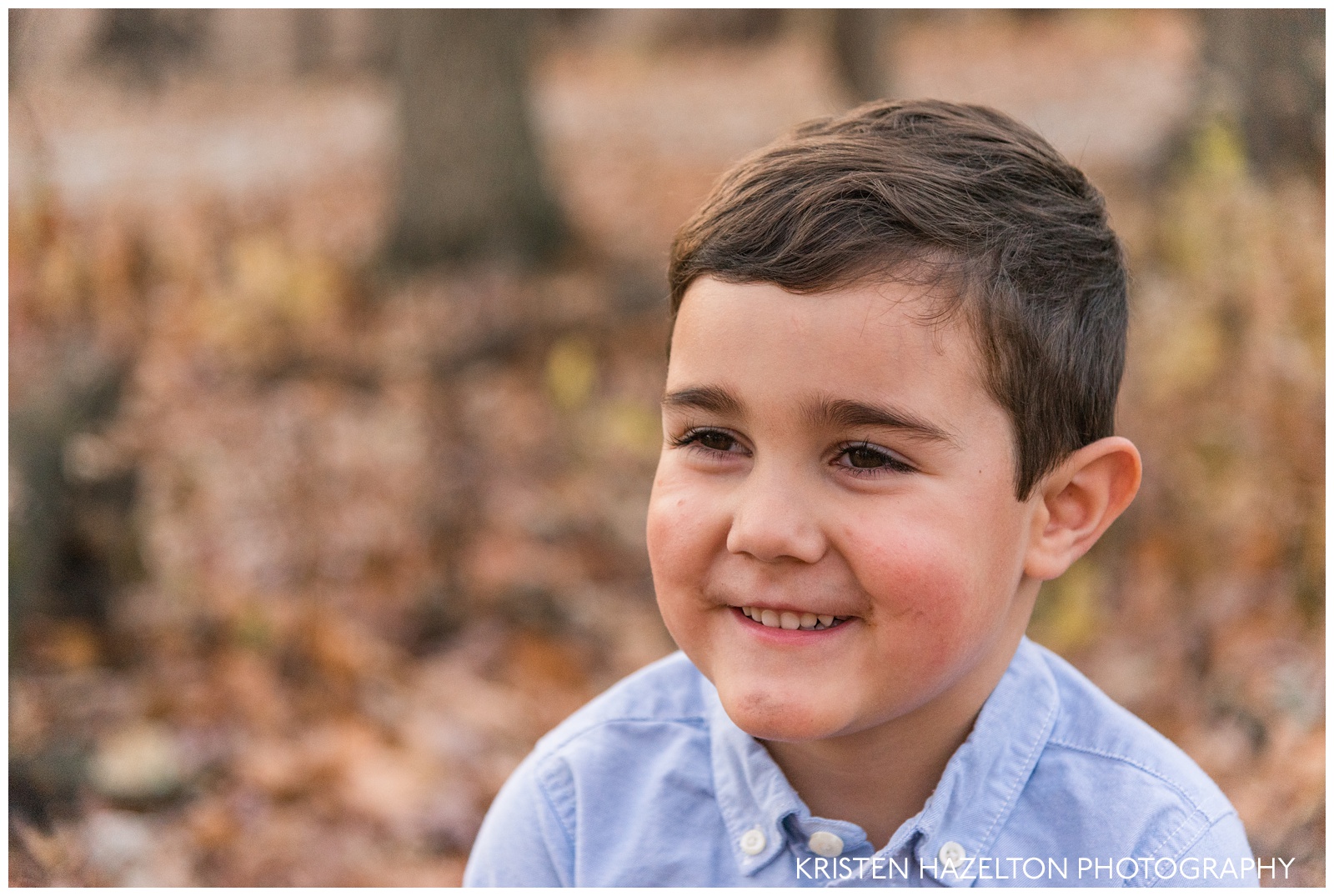 Portrait of a four year old boy by Oak Park, IL and Livermore, CA photographer Kristen Hazelton
