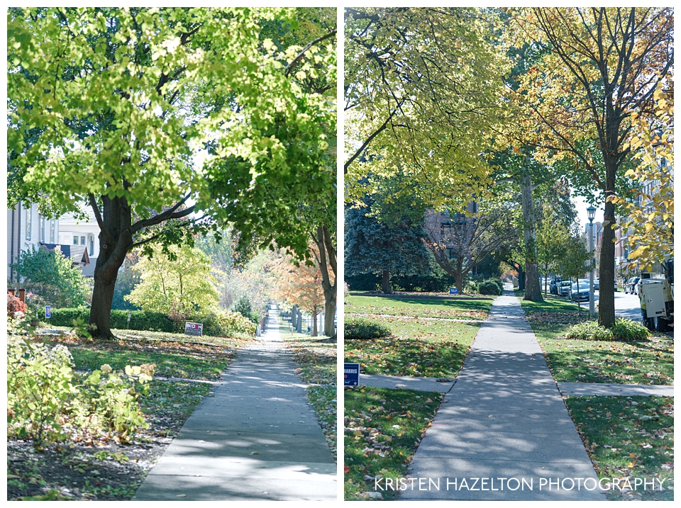 well-shaded sidewalks in Oak Park, IL