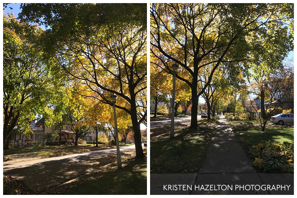 Beautiful shady autumn streets in Oak Park, IL