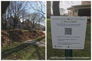 Giant leaf pile plus Park District of Oak Park sign offering information about park trees