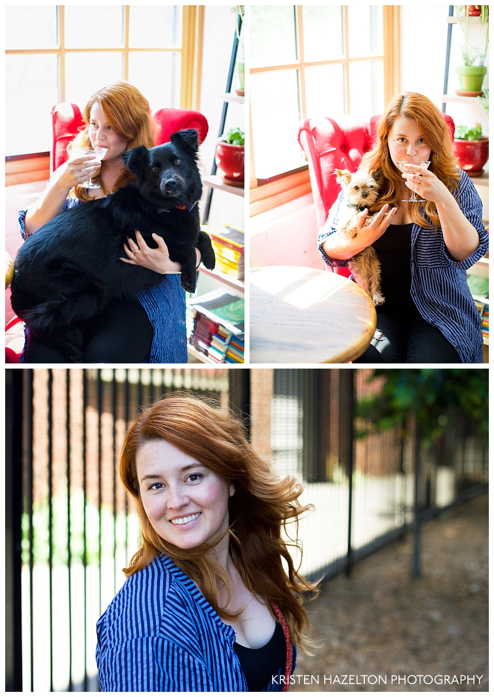 Puppy portraits by Livermore, CA portrait photographer Kristen Hazelton
