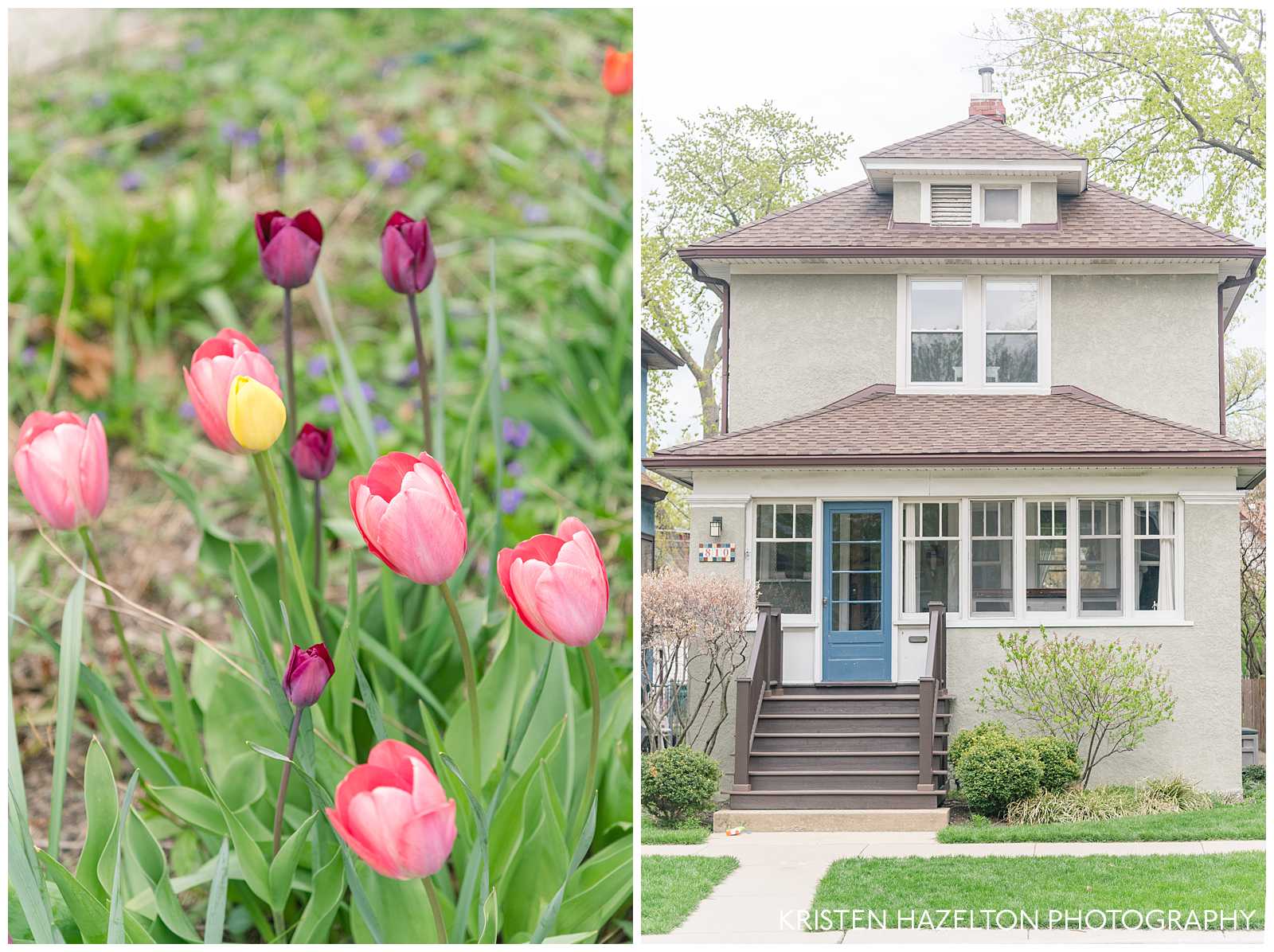 Tan house with tulips in Oak Park, IL