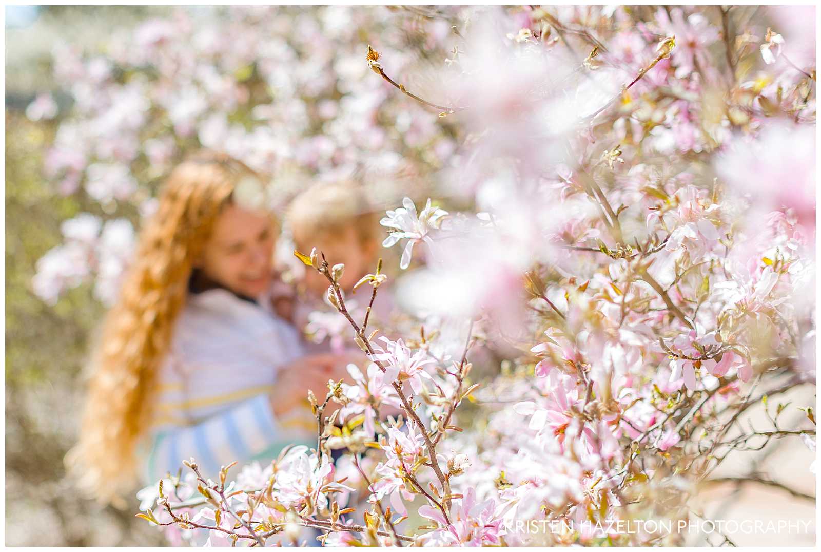 Photo of pink star magnolias with a mother and toddler daughter in the background