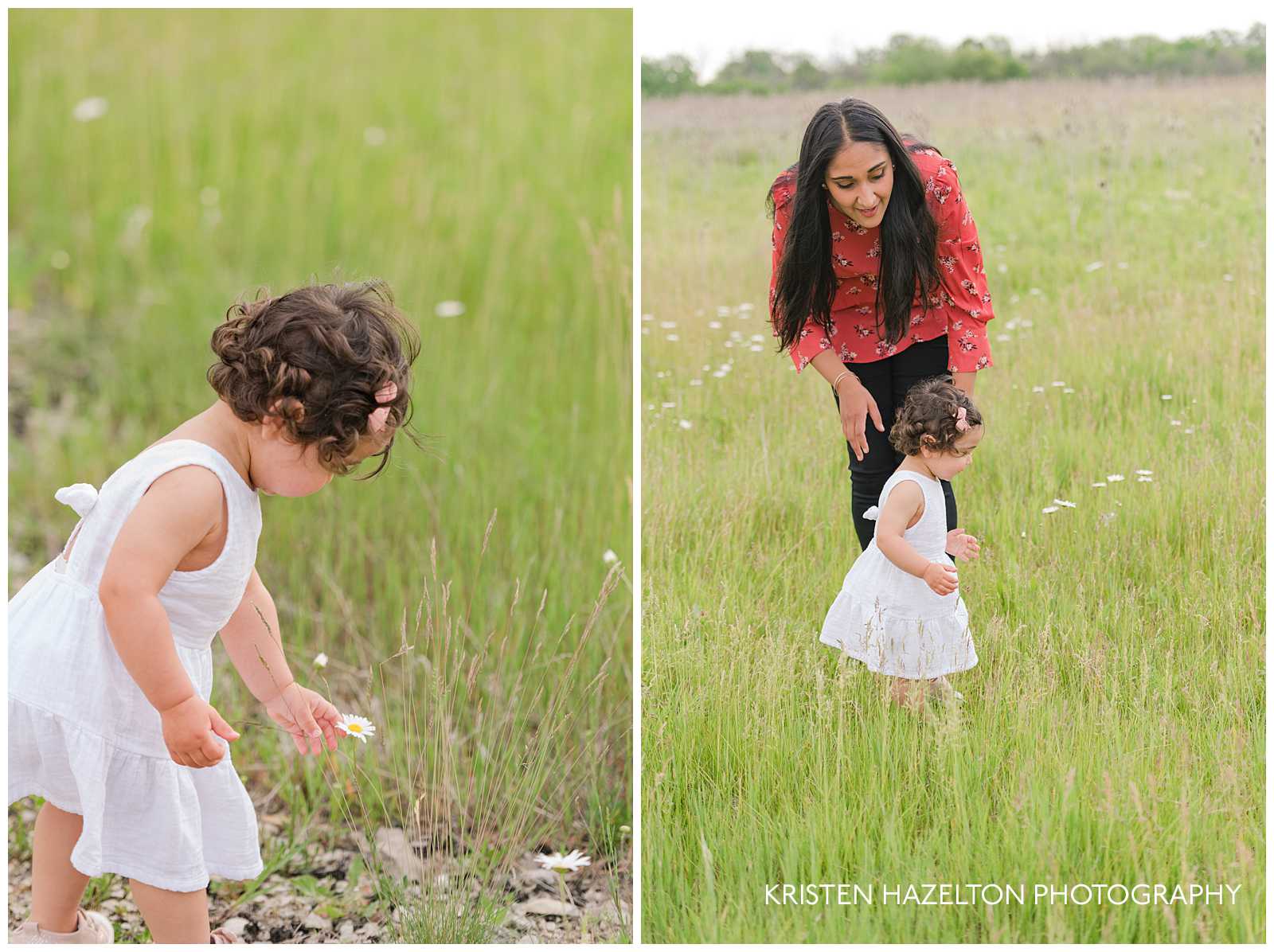 Toddler girl picking daisies in a meadow with her mother by Forest Park, IL photographer Kristen Hazelton