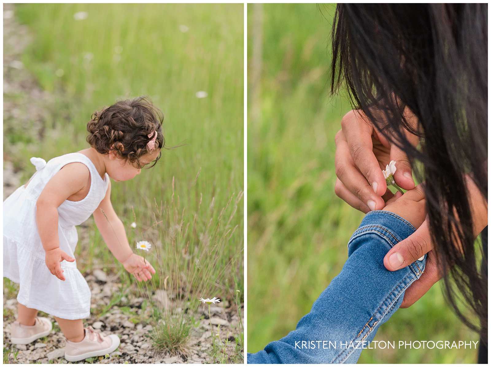 Toddler girl picking daisies for her mother