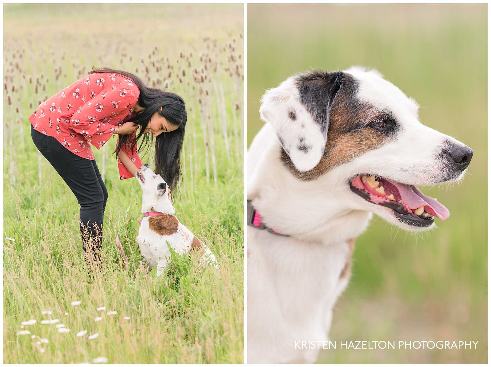 Woman petting her dog in a meadow by Forest Park, IL photographer Kristen Hazelton