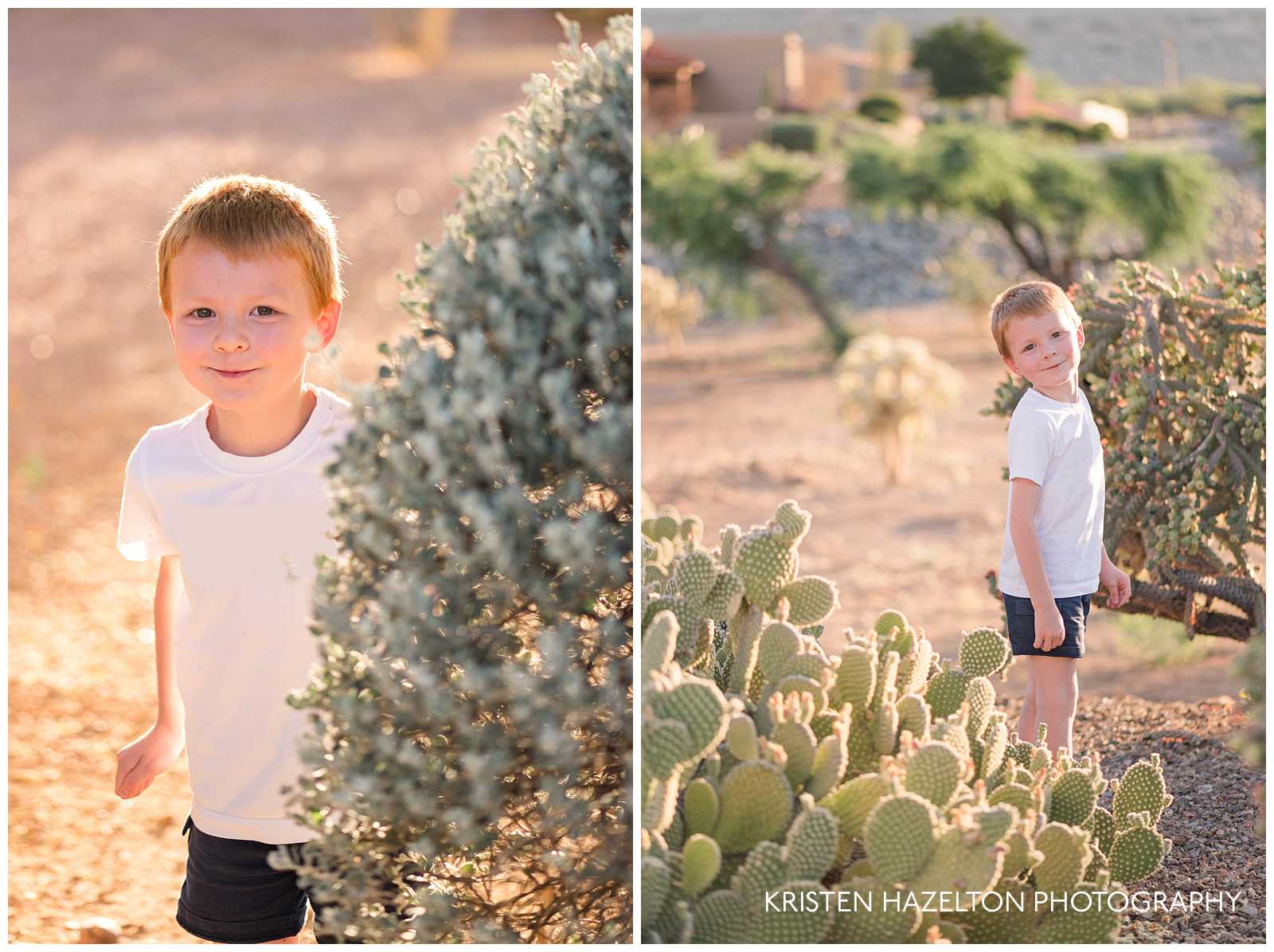 Golden hour portraits of a young boy in Tucson, AZ with cacti