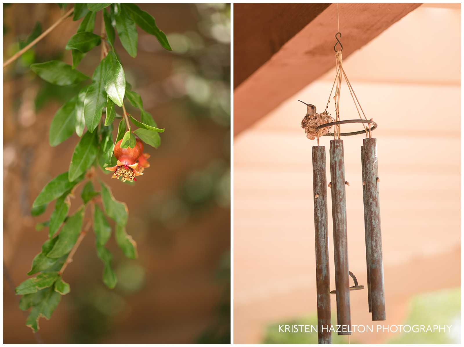 Pomegranate and hummingbird nesting on top of a wind chime