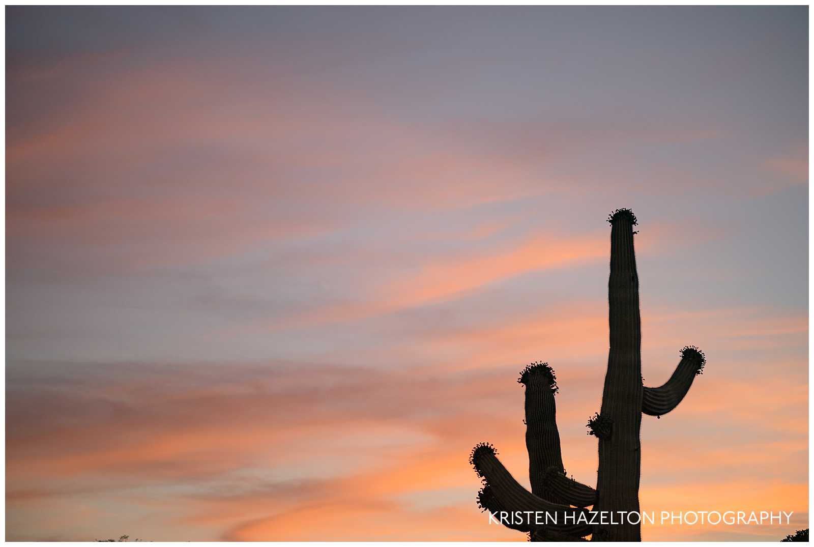 Tucson, AZ sunset with saguaro silhouette