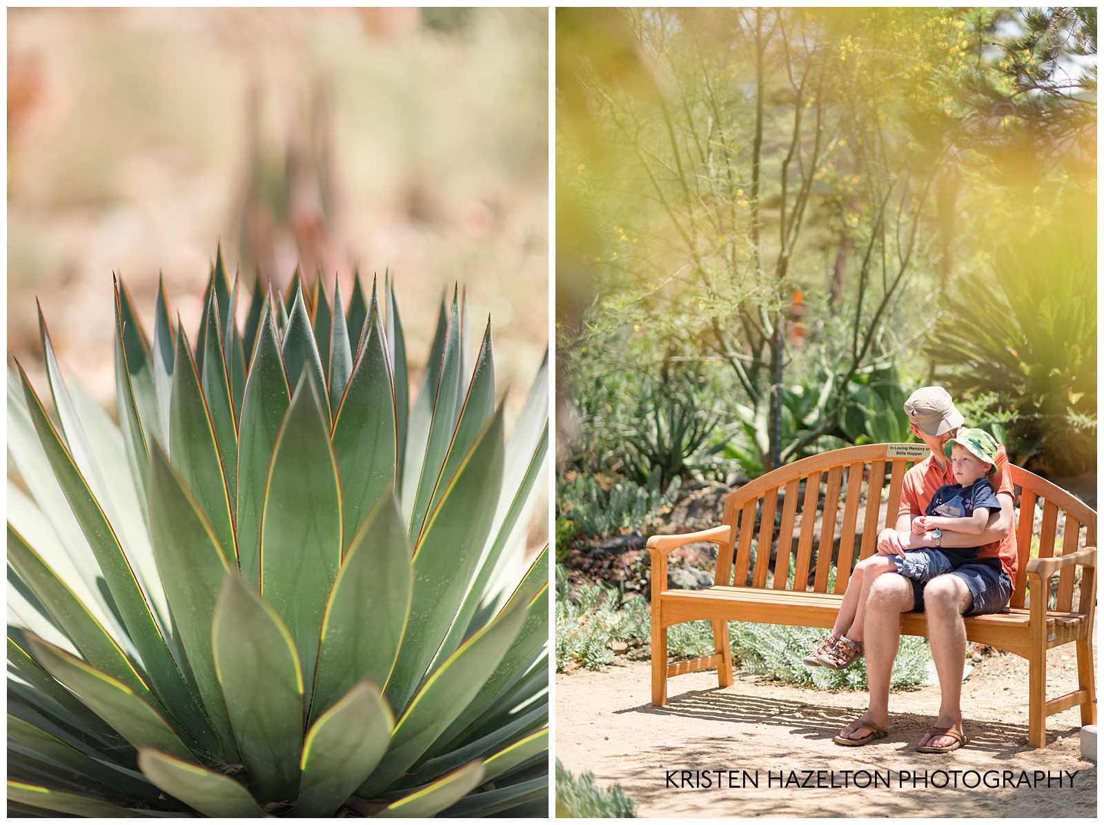 Father and son sitting on a bench in a cactus garden