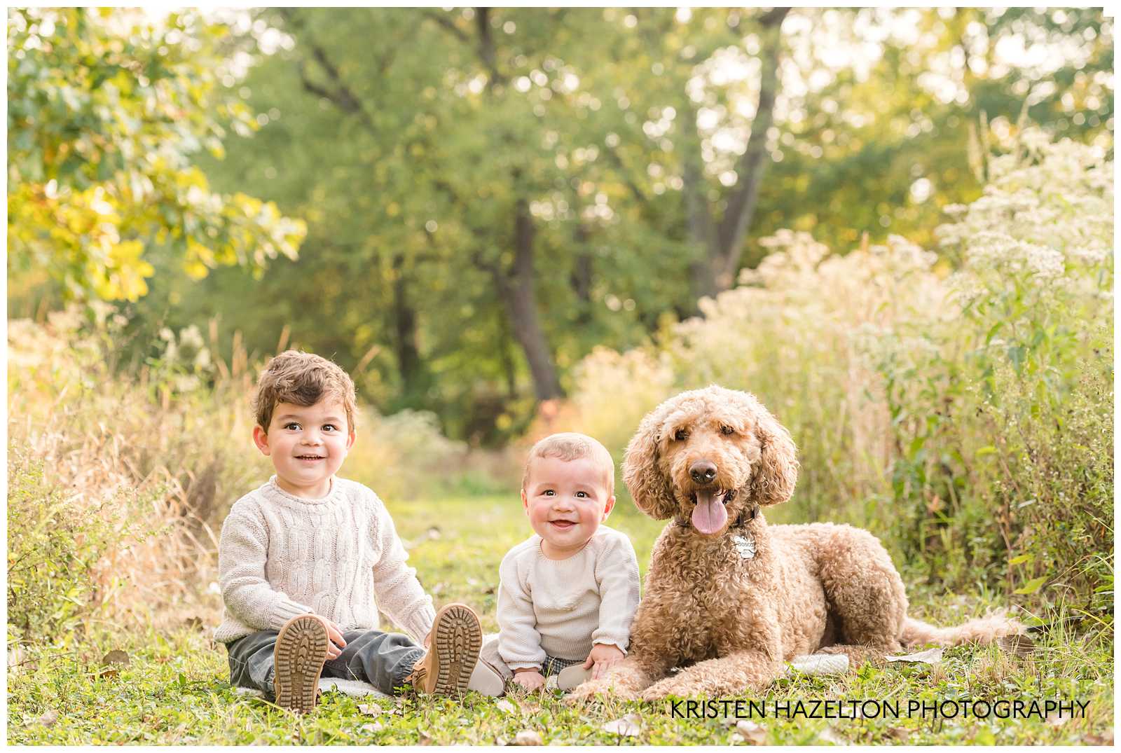 Two young brothers and a dog sitting in a field by Riverside, IL photographer Kristen Hazelton