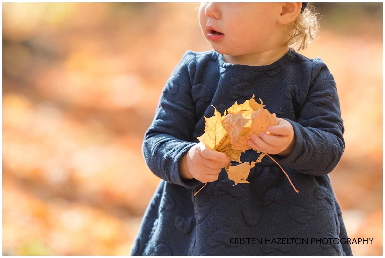 Toddler girl holding leaves at a Oak Park IL Mini Session