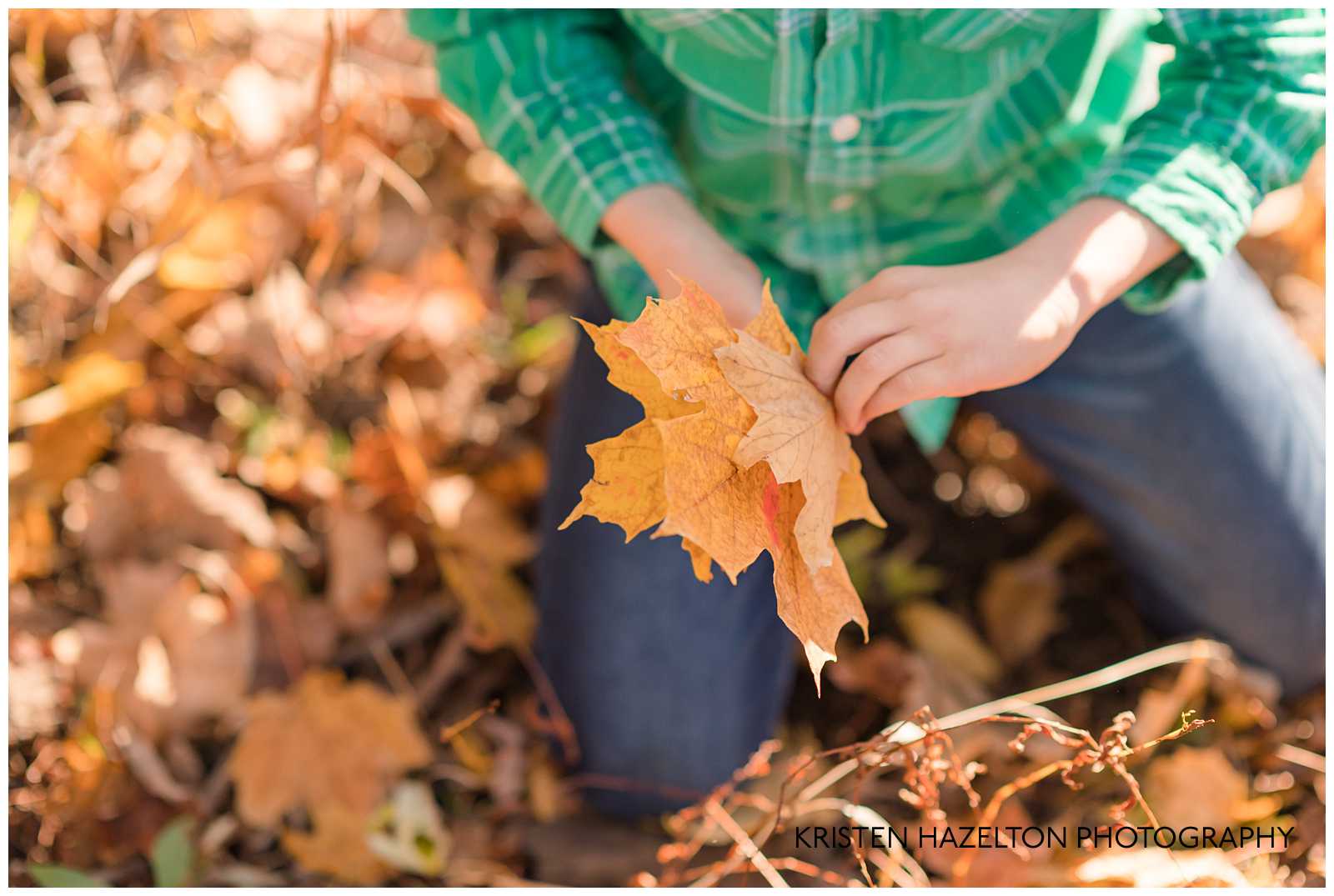 Young boy crouched on the ground picking up leaves