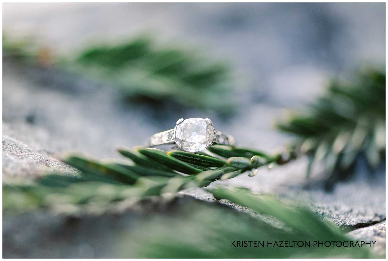 Macro engagement ring shot with pine needles