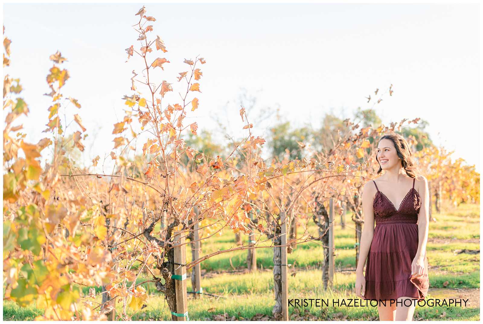 Girl in minidress walking through fall vineyard at Ravenswood in Livermore, CA
