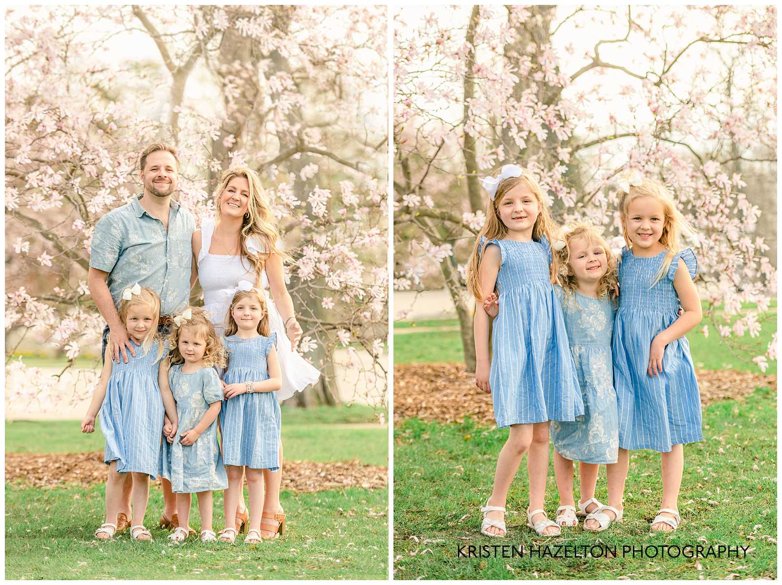 A family with three young daughters in blue dresses in front of pink star magnolia flowers by Downers Grove Photographer Kristen Hazelton