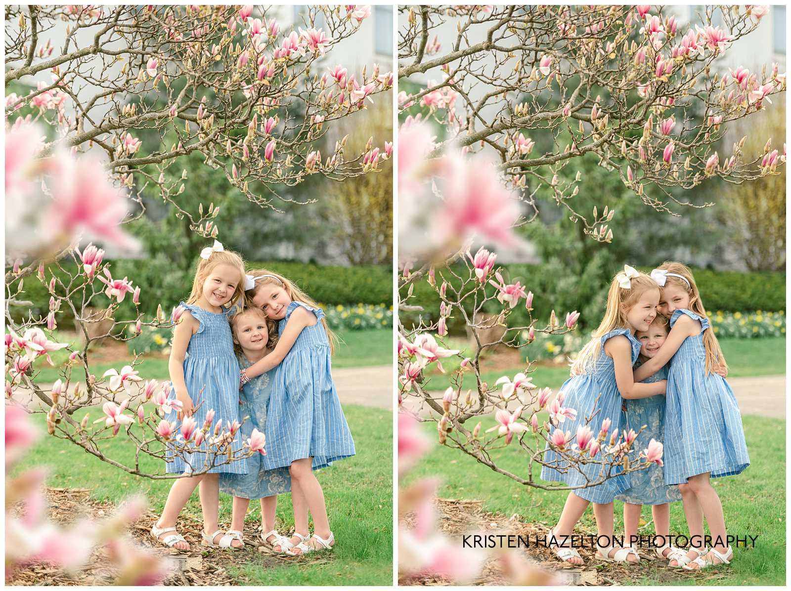 three little girls wearing blue dresses in front of pink magnolia flowers by Downers Grove Photographer Kristen Hazelton