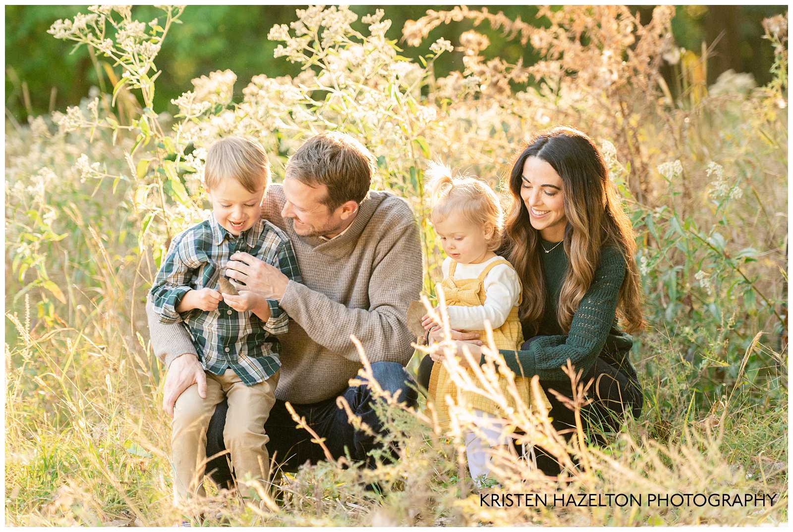Mom and Dad playing with their toddler son and daughter in a field of yellow grass
