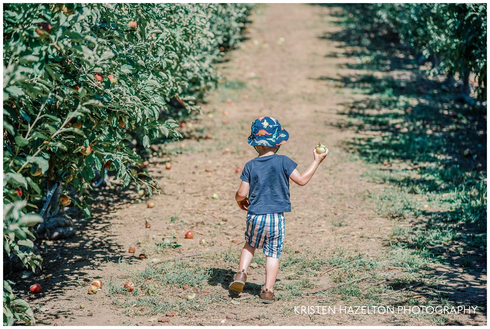 Little boy wearing a blue dinosaur hat and holding an apple while going apple picking in Chicago.