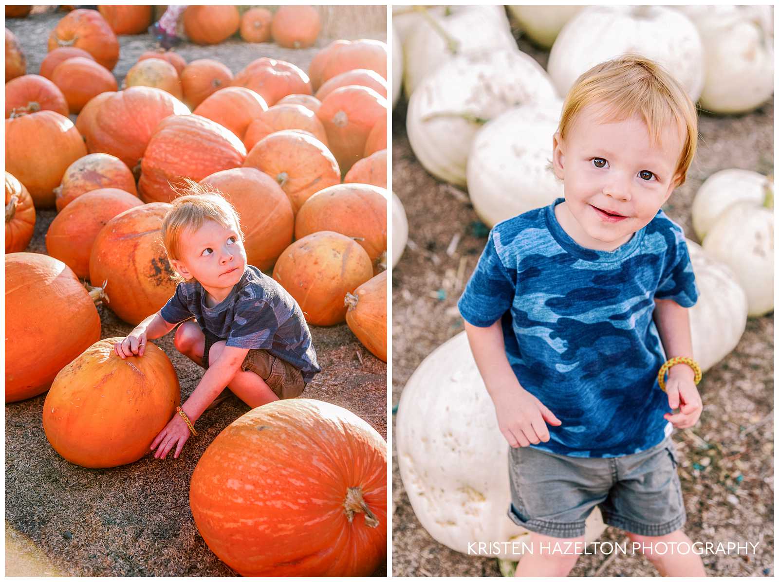 Little boy with orange and white pumpkins at one of the best pumpkin patches in Chicago