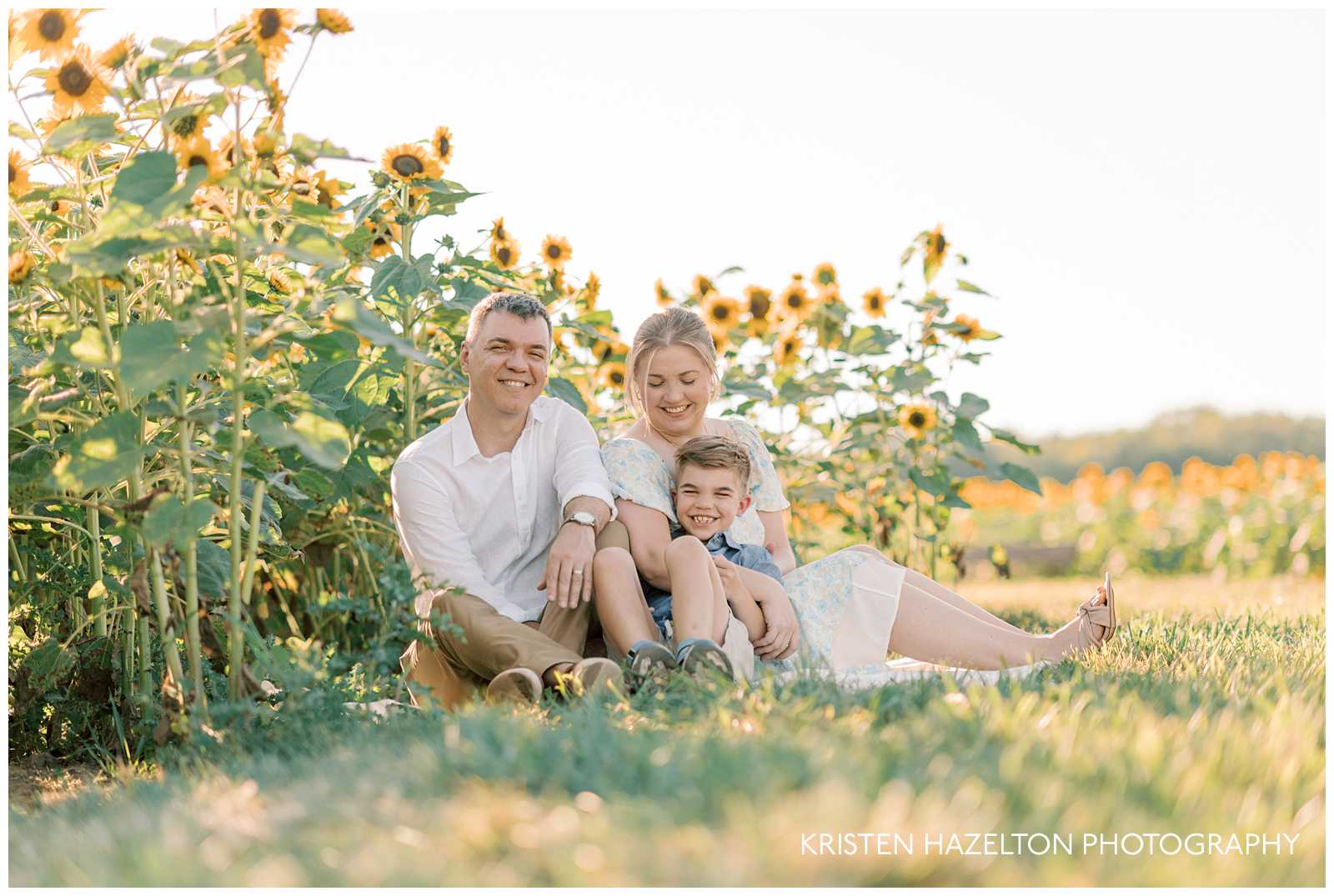 Family photos with sunflowers in Maple Park, IL; family of three sitting in a sunflower field