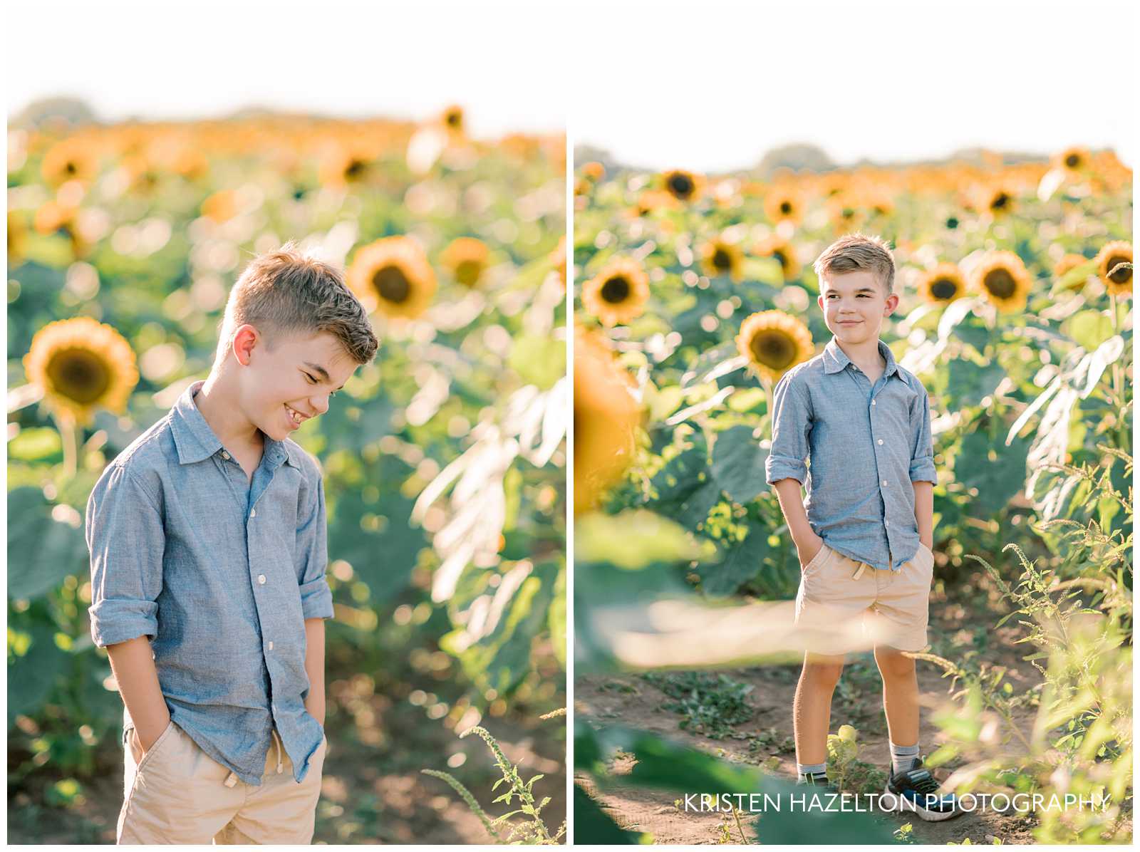 Sunflower photos with a young boy wearing a blue shirt in a field in Maple Park, IL