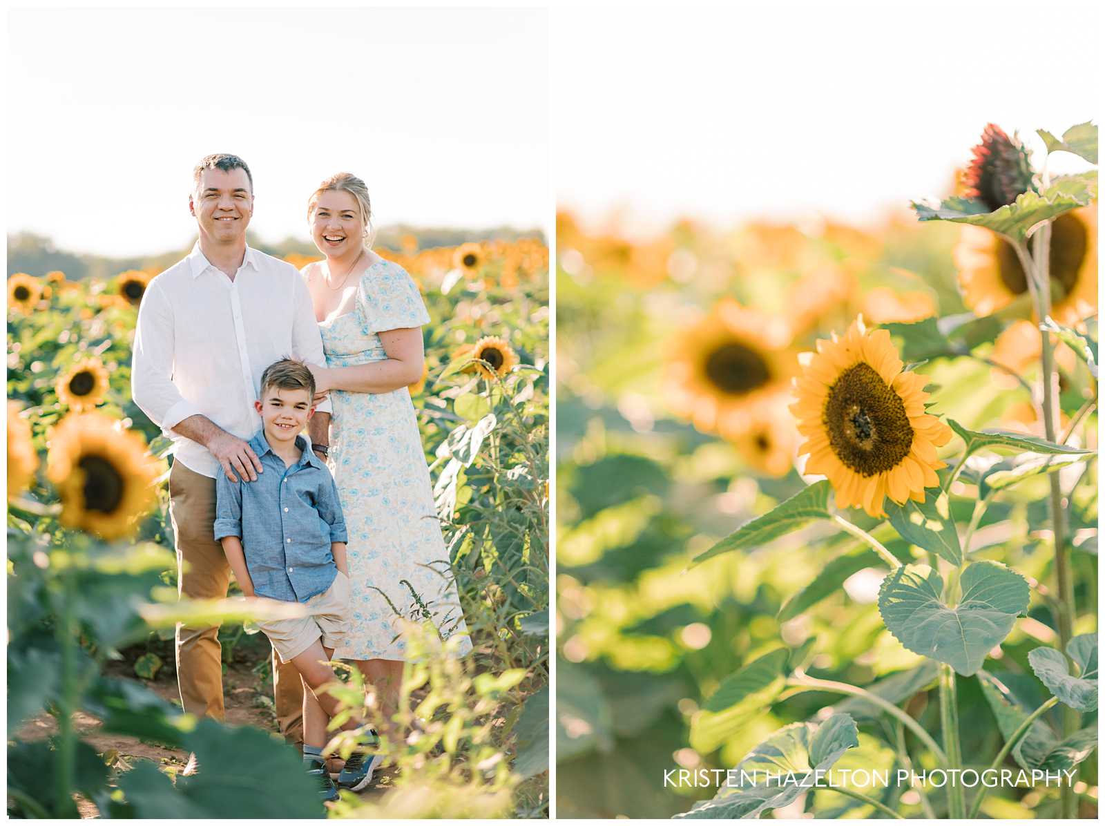 Family of three standing close together for their sunflower family photos