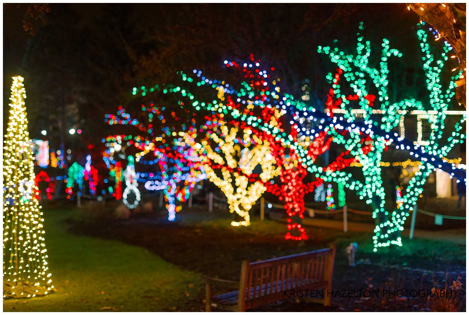 Night time photo of the Lilacia Park Lights display in December. Tree trunks are wrapped in brightly colored holiday lights.