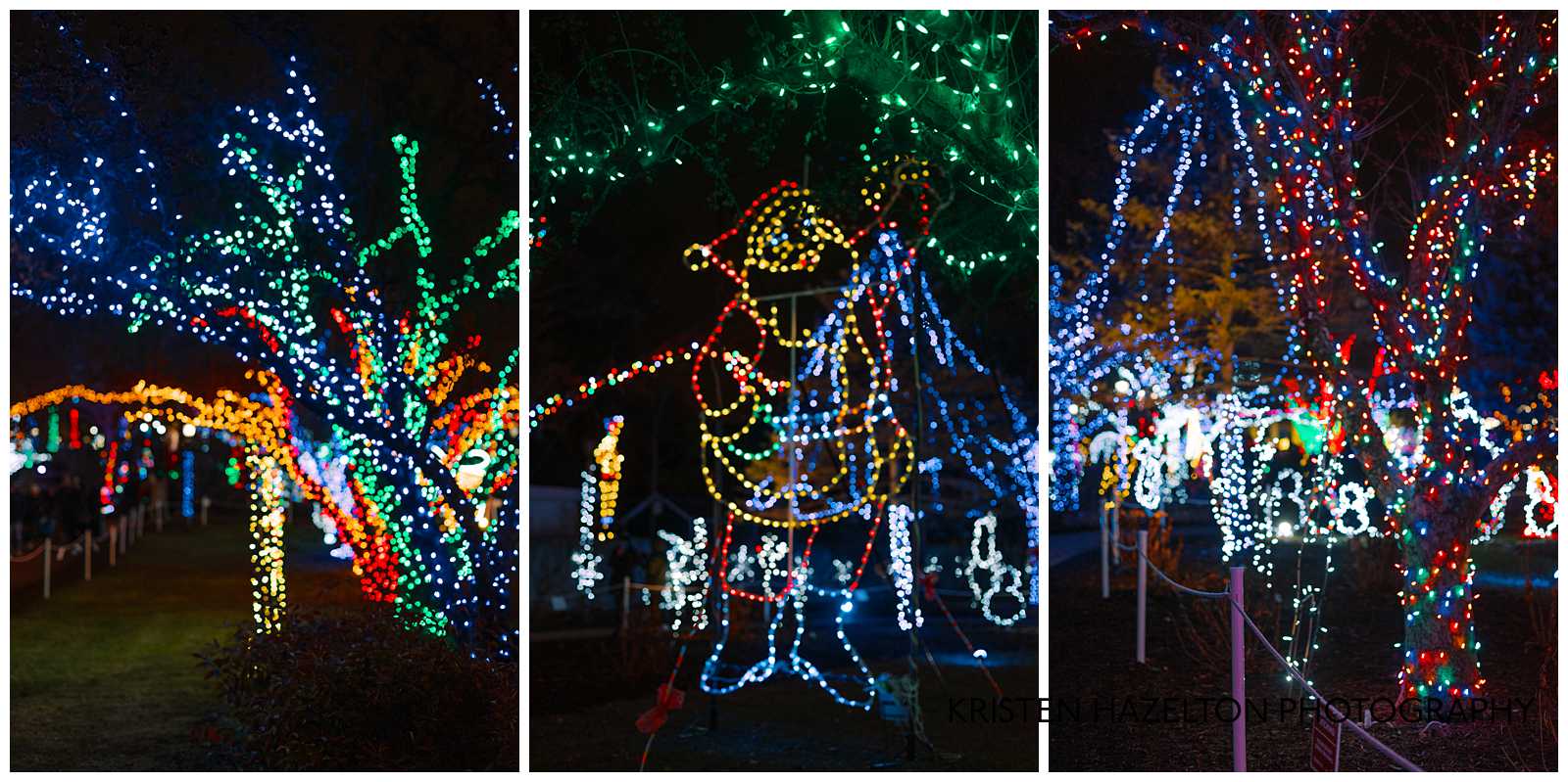 Night time photo of holiday lights displays; tree trunks wrapped in brightly colored holiday lights, and light stands of Santa Claus, snowmen, and trains