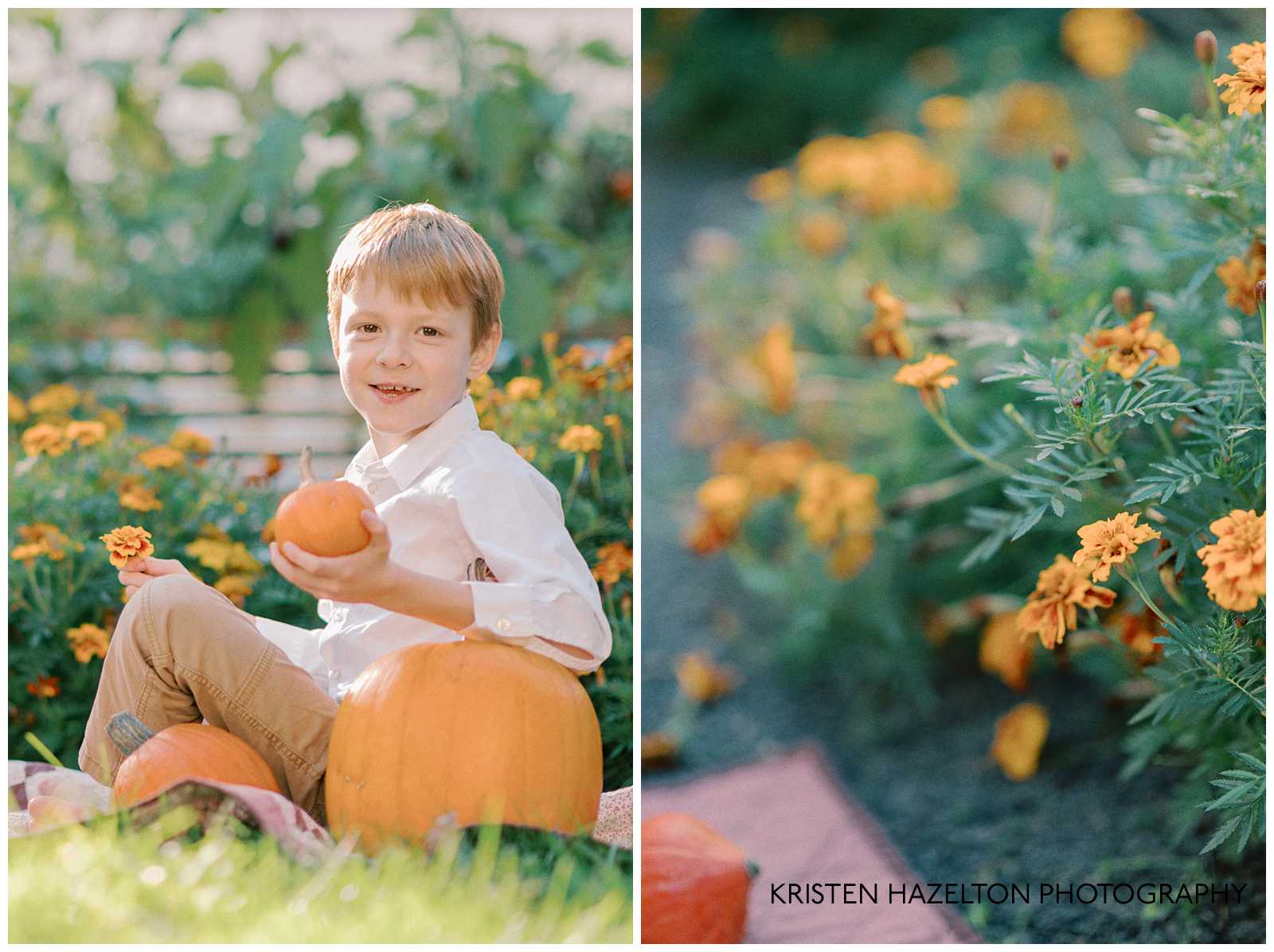 Little boy holding a pumpkin in front of a marigold flower bush