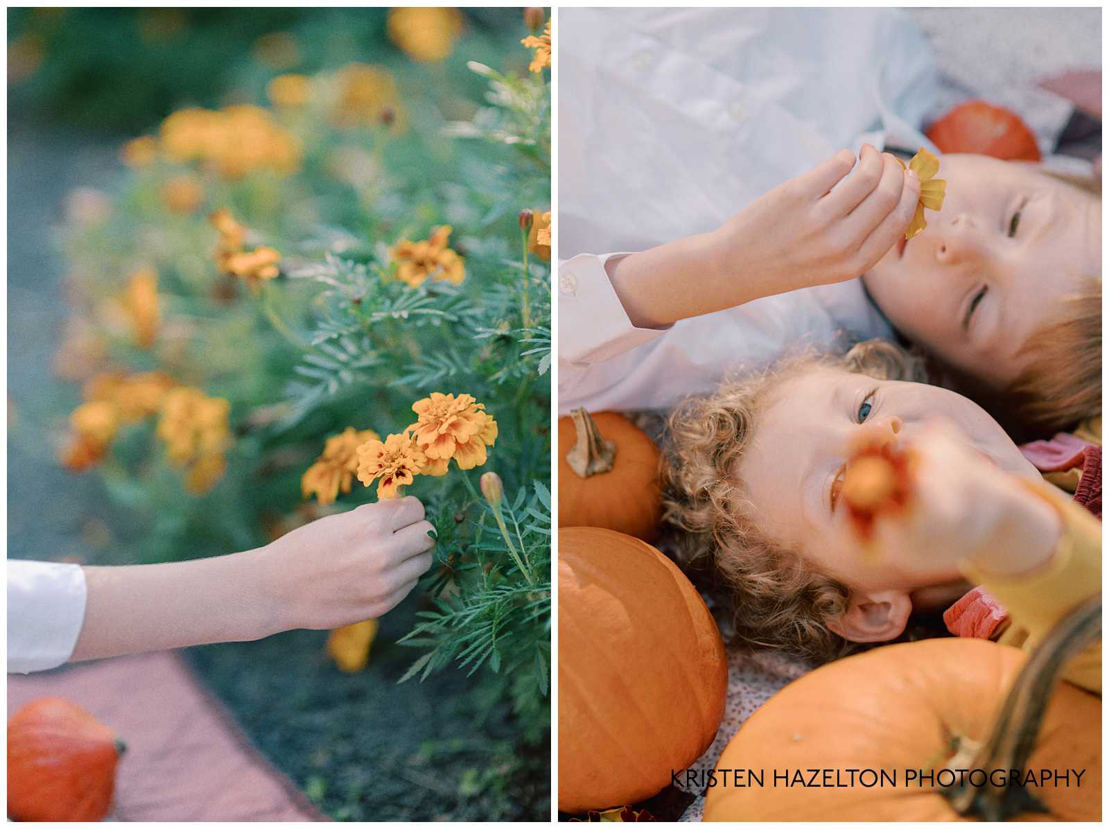 Little girl and boy sitting on a quilt holding up marigold flowers