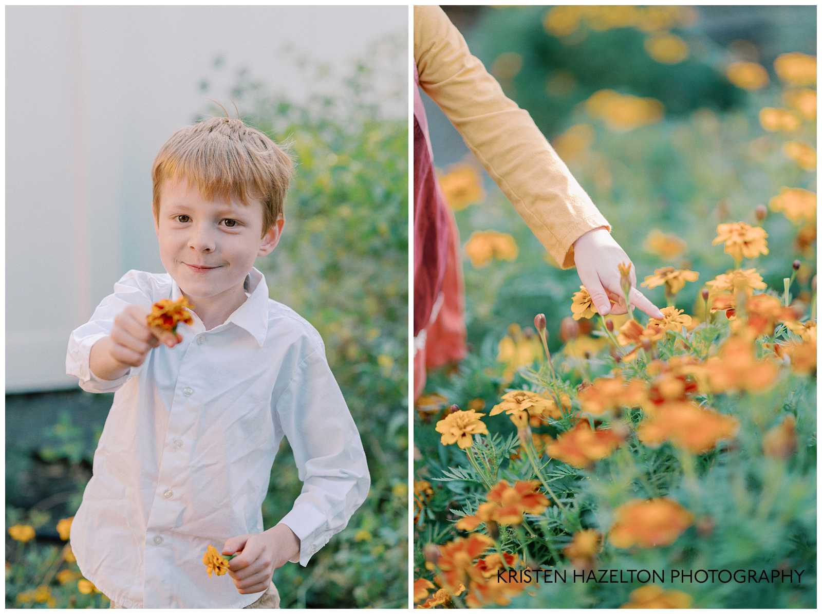 Little boy in a white button up shirt holding out a marigold flower