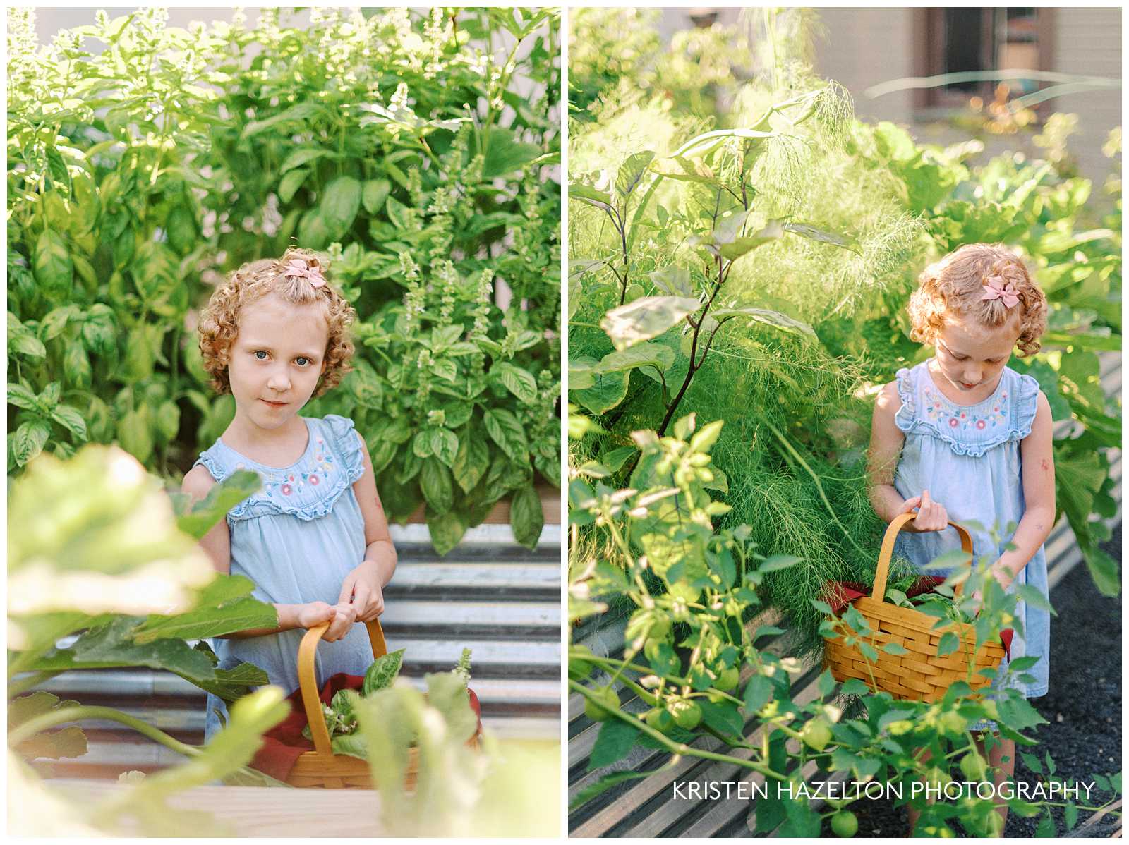 girl with curly hair picking basil and tomatillos