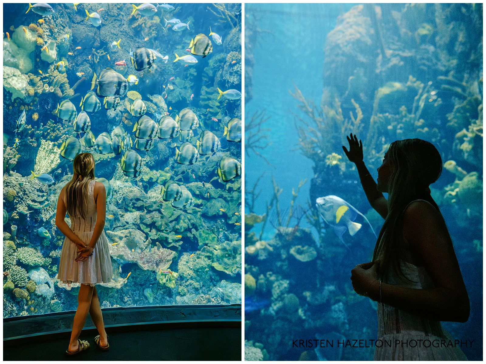 Girl in white dress looking at fish in the Wild Reef exhibit for her Shedd Aquarium photos