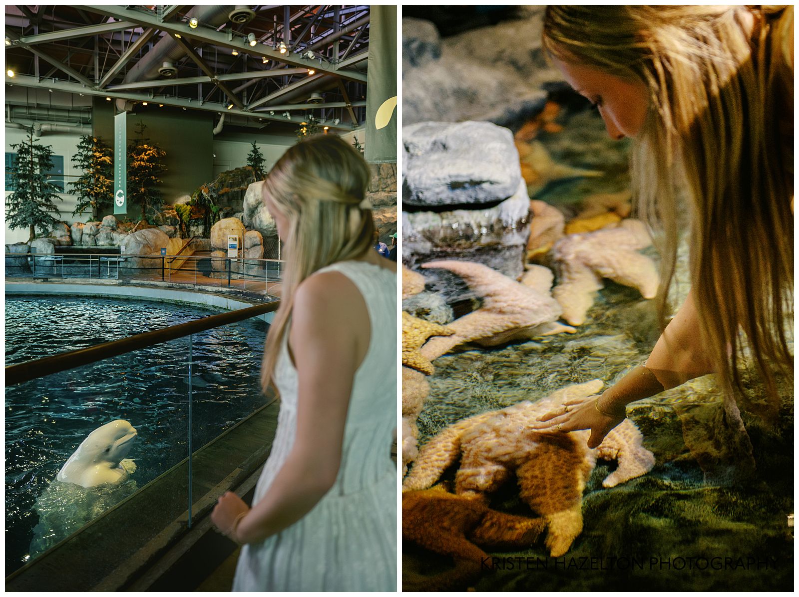 Girl in white dress looking at a beluga whale spyhopping in its tank at the Shedd Aquarium in Chicago